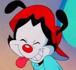 Wakko Warner from Animaniacs